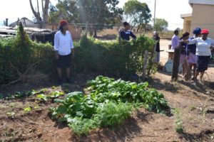 Good Shepherd College Community Services