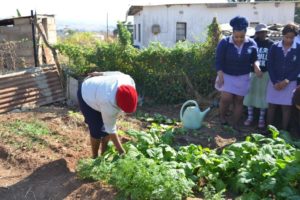 Good Shepherd College Community Services